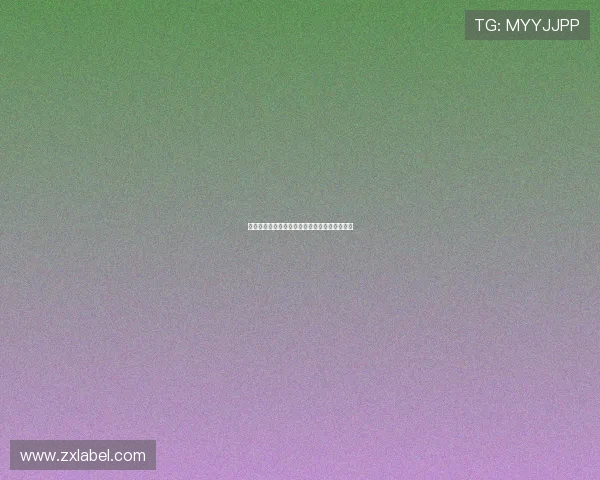 法甲最新助攻榜前十名球员数据分析与表现解读