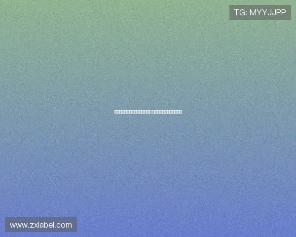 多特为法比奥席尔瓦提供五年合同 计划长期依赖这位年轻前锋